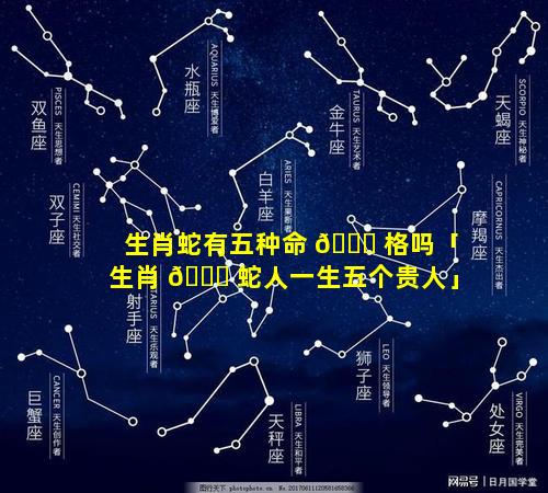 生肖蛇有五种命 🐟 格吗「生肖 🐋 蛇人一生五个贵人」